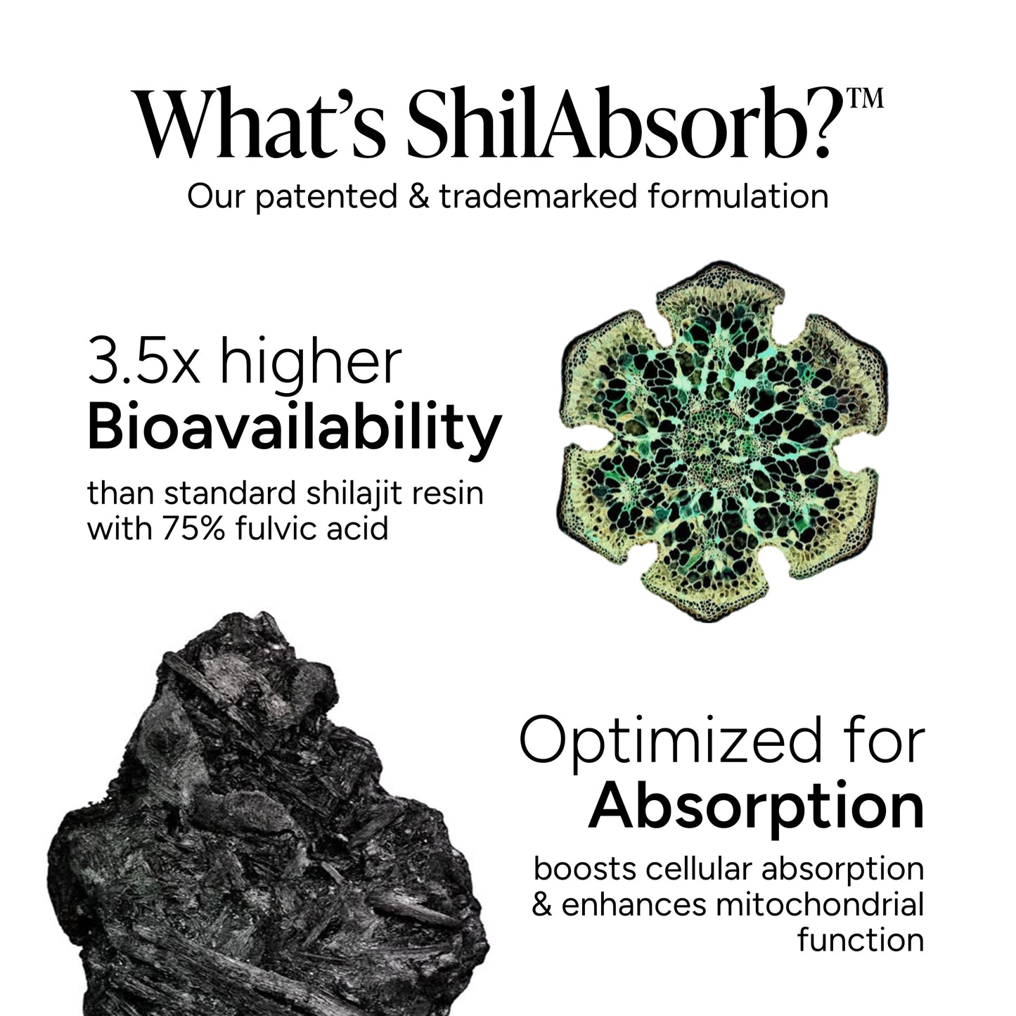 10-in 1 Alpha Shilajit Gummies