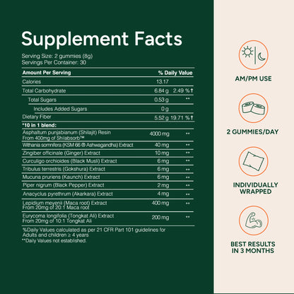 10-in 1 Alpha Shilajit Gummies VIP